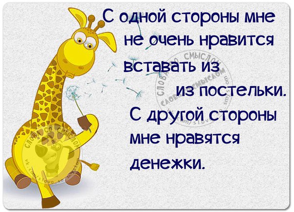 VFL.RU -  