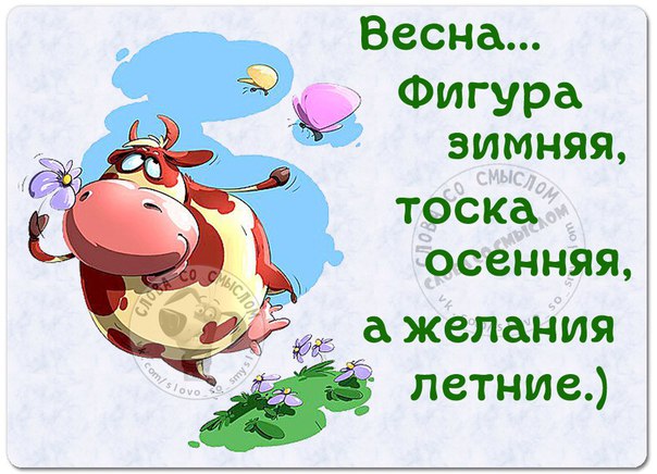 VFL.RU -  