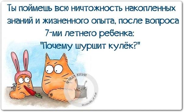 VFL.RU -  