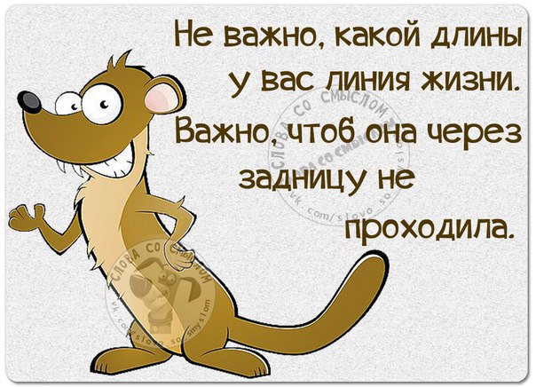 VFL.RU -  