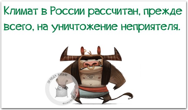 VFL.RU -  