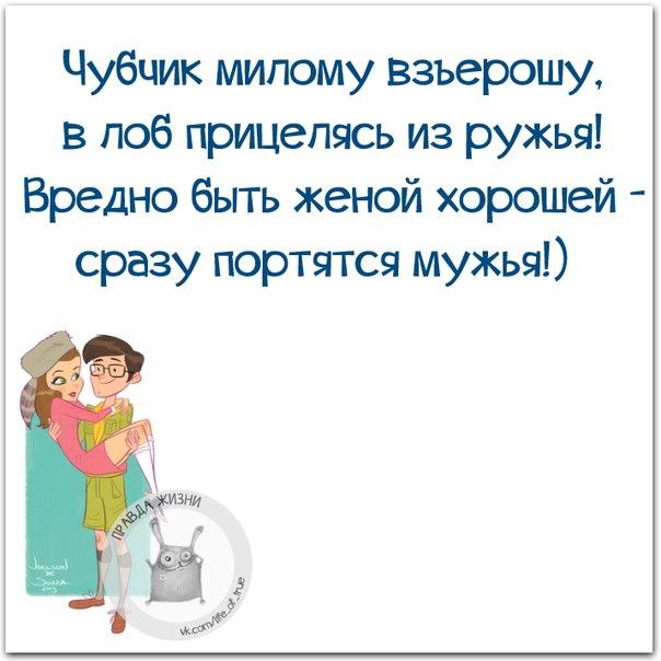 VFL.RU -  