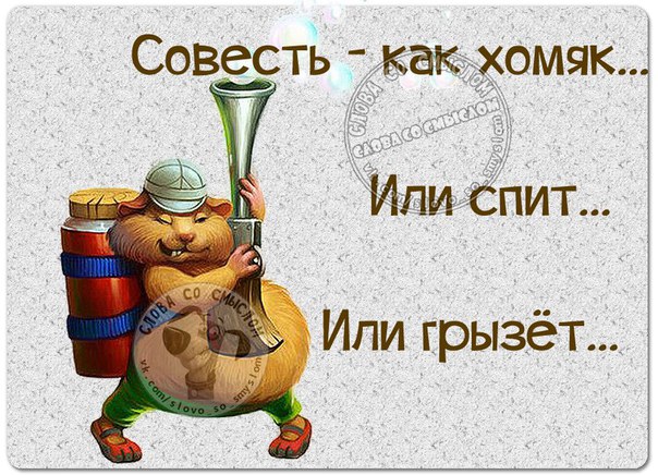 VFL.RU -  