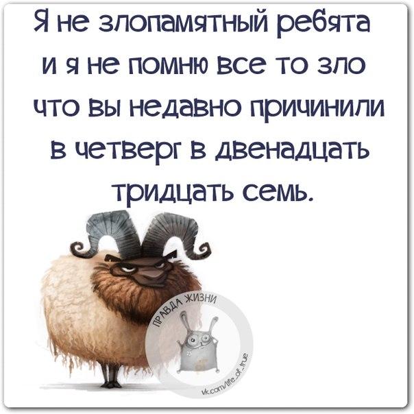 VFL.RU -  