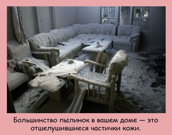 VFL.RU -  