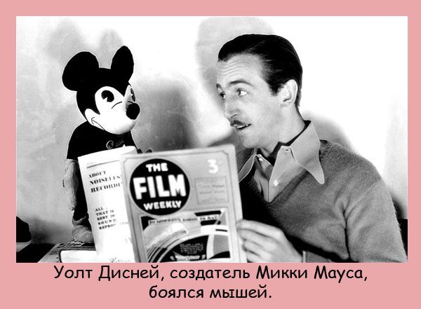VFL.RU -  