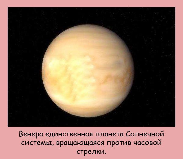VFL.RU -  