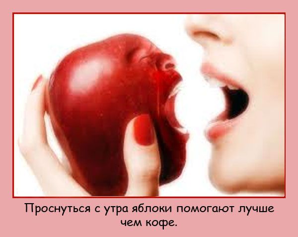 VFL.RU -  
