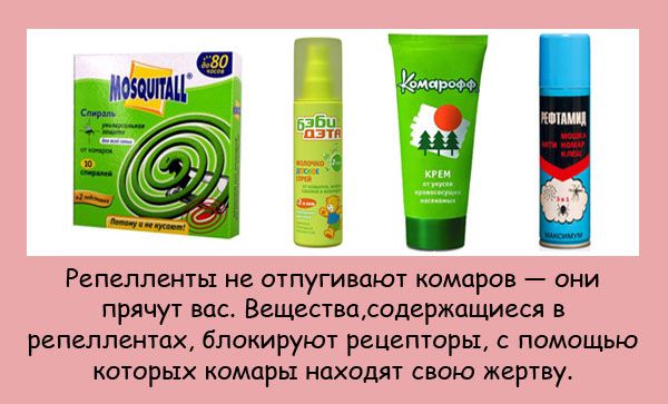 VFL.RU -  
