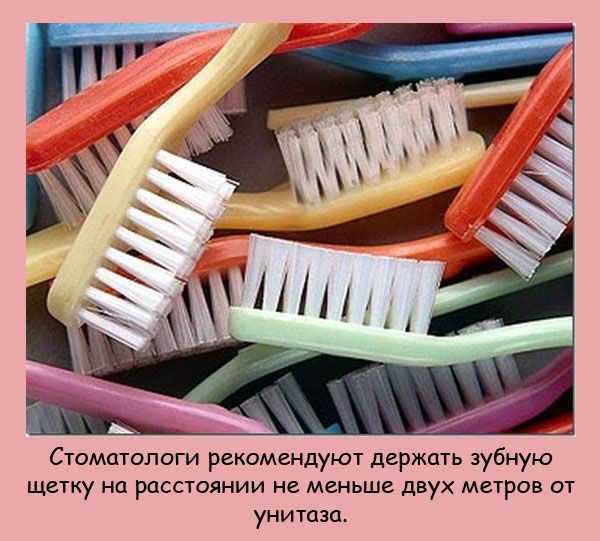 VFL.RU -  