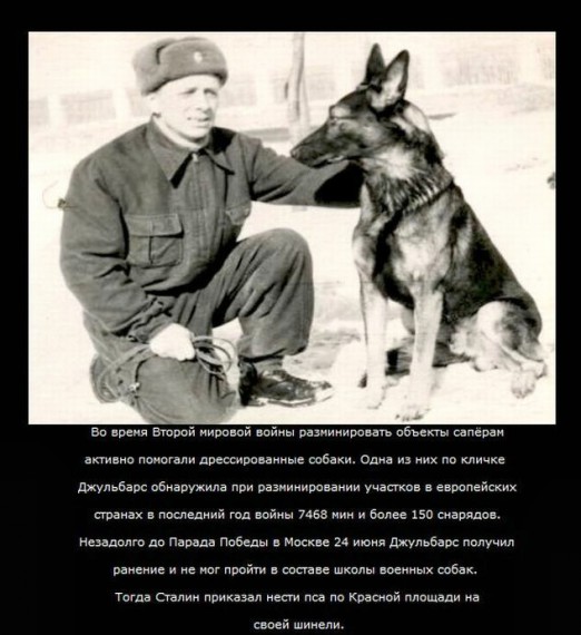 VFL.RU -  