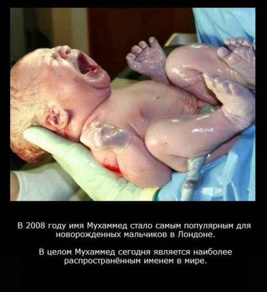 VFL.RU -  