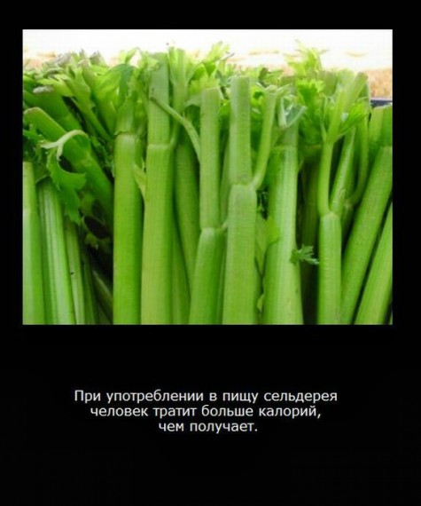 VFL.RU -  