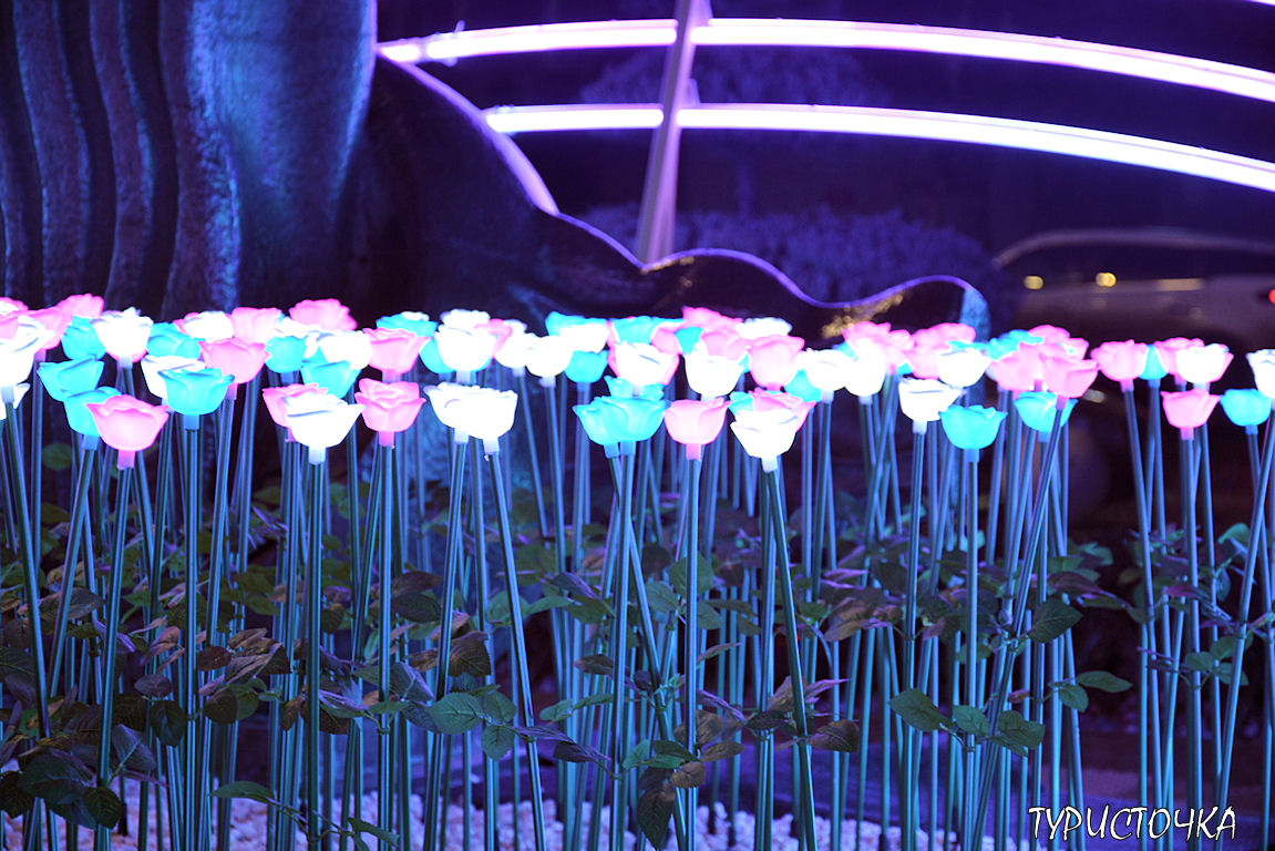 Новогодний Ростов-на-Дону Новогодний Ростов-на-Дону