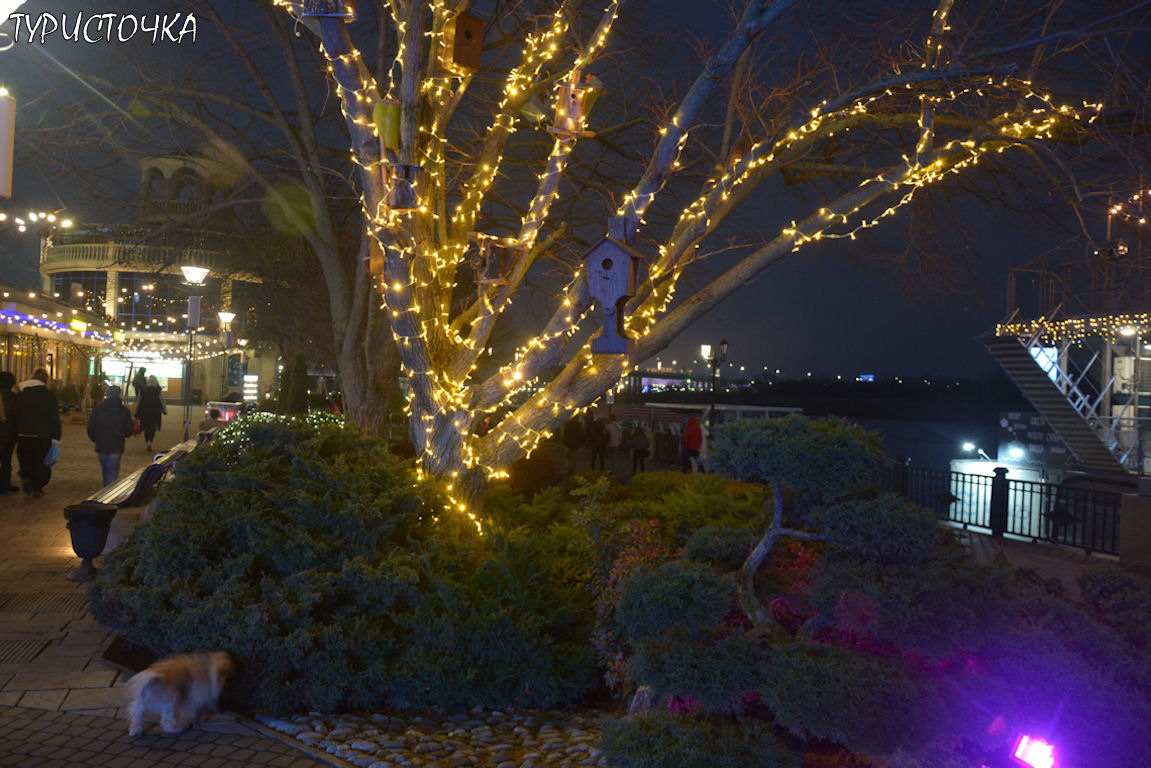 Новогодний Ростов-на-Дону Новогодний Ростов-на-Дону