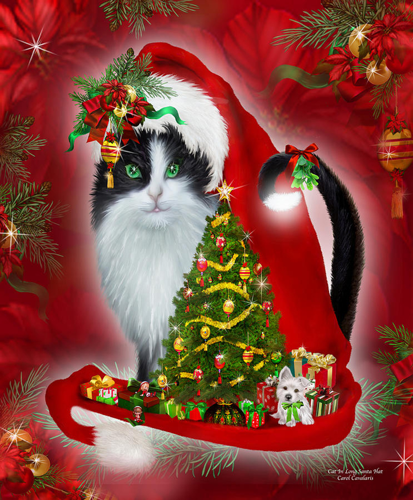 VFL.RU - ��� �����������