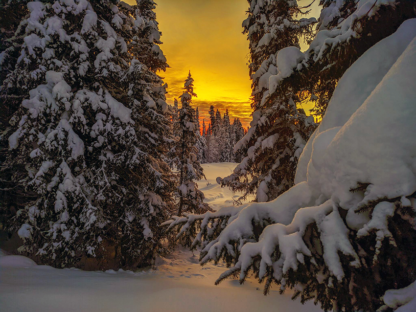 VFL.RU - ��� �����������