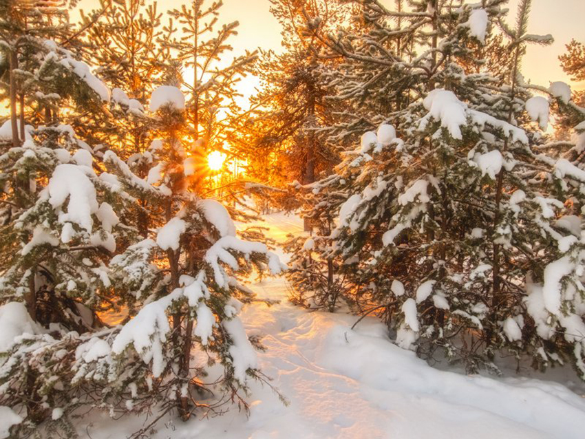 VFL.RU - ��� �����������