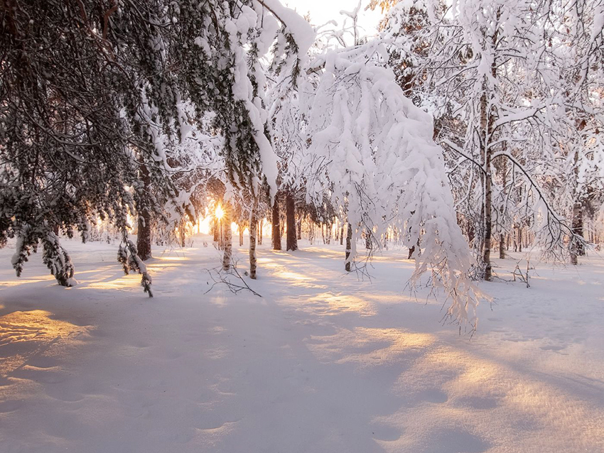 VFL.RU - ��� �����������