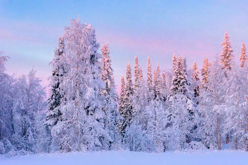 VFL.RU - ��� �����������