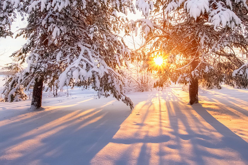 VFL.RU - ��� �����������