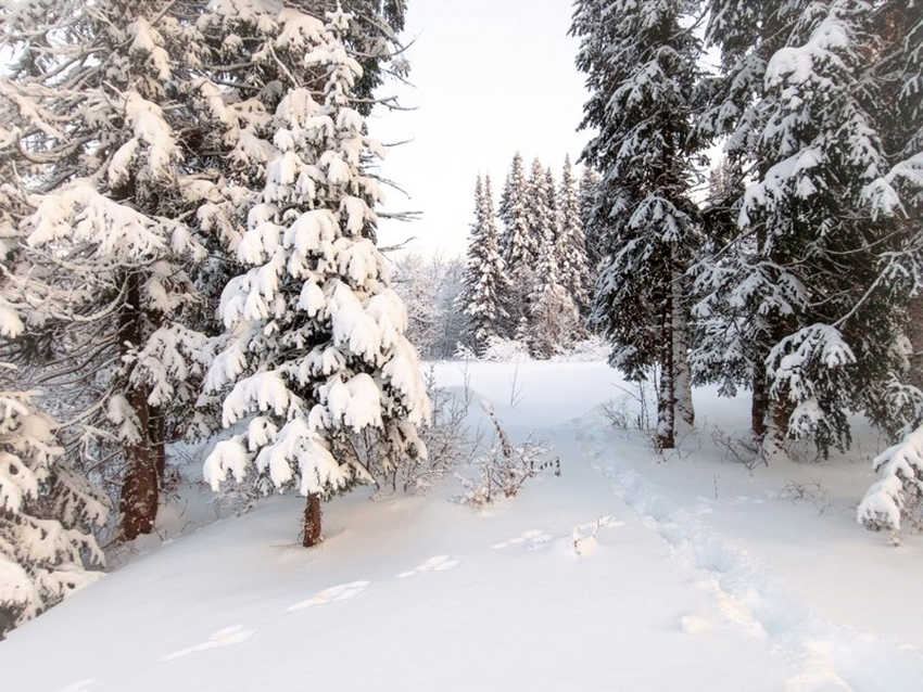 VFL.RU - ��� �����������