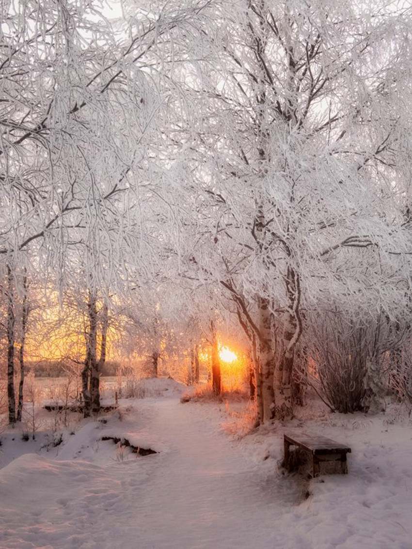 VFL.RU - ��� �����������