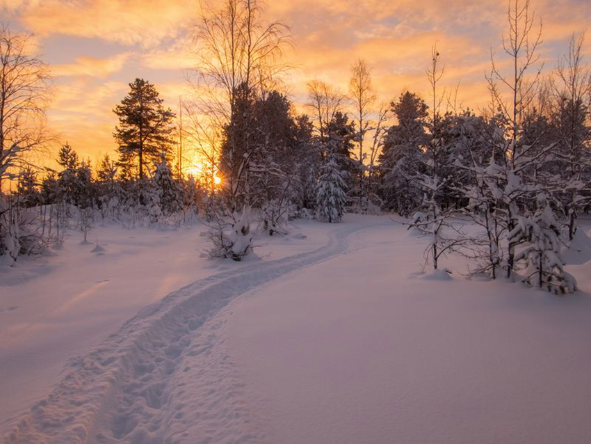 VFL.RU - ��� �����������