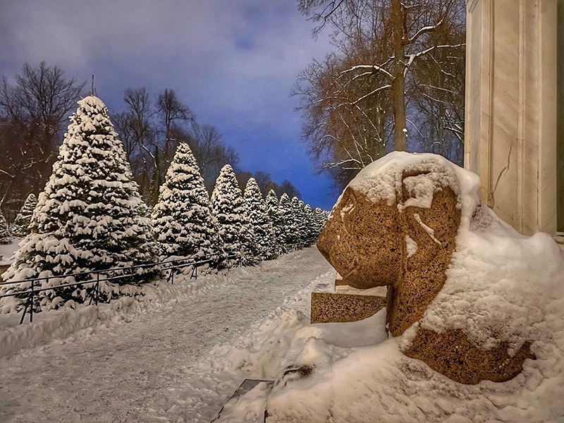 VFL.RU - ��� �����������