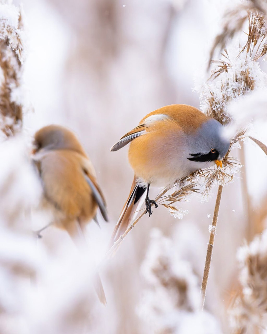 VFL.RU - ��� �����������