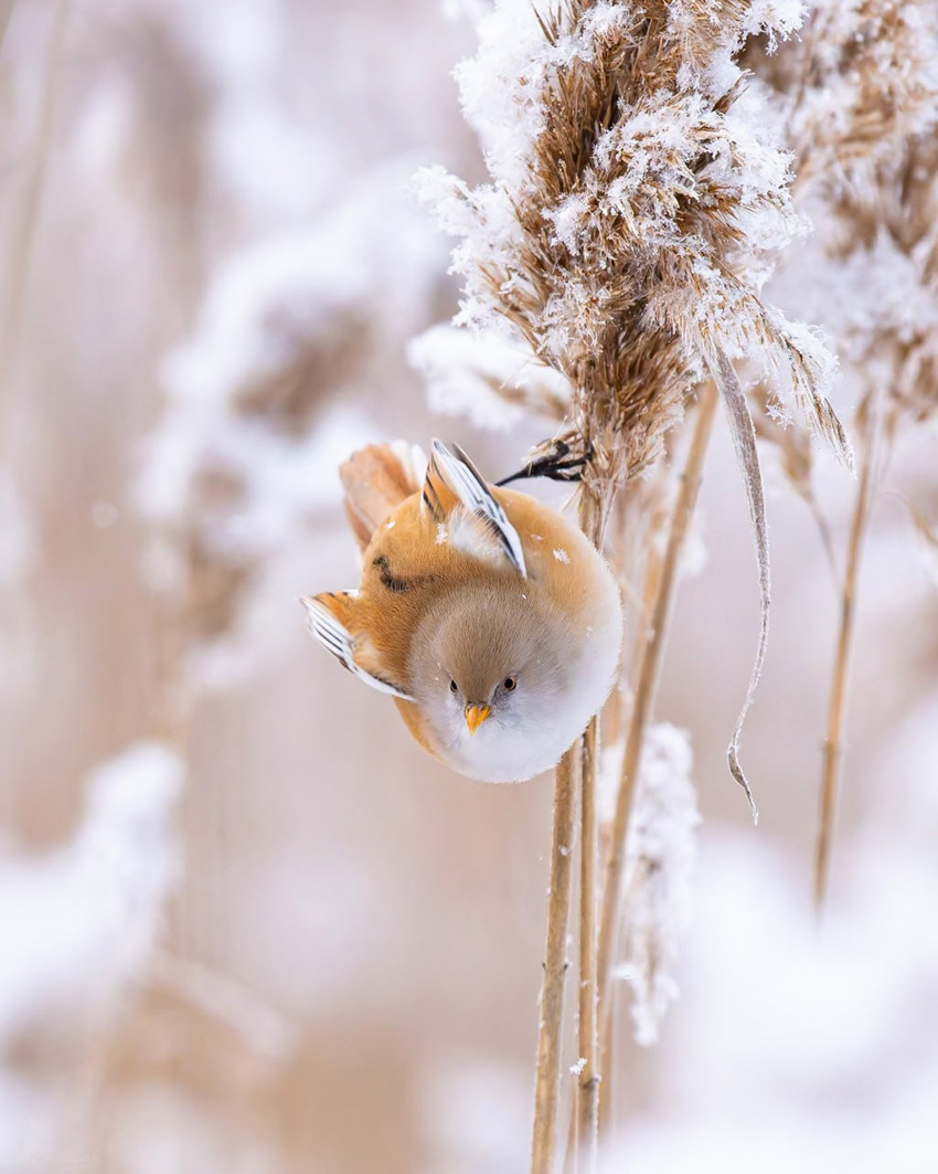 VFL.RU - ��� �����������