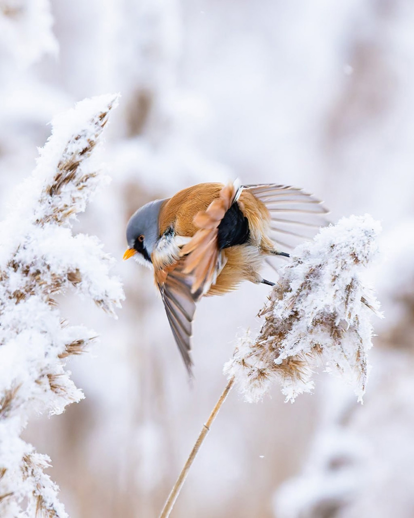 VFL.RU - ��� �����������