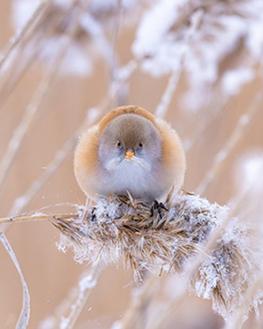 VFL.RU - ��� �����������