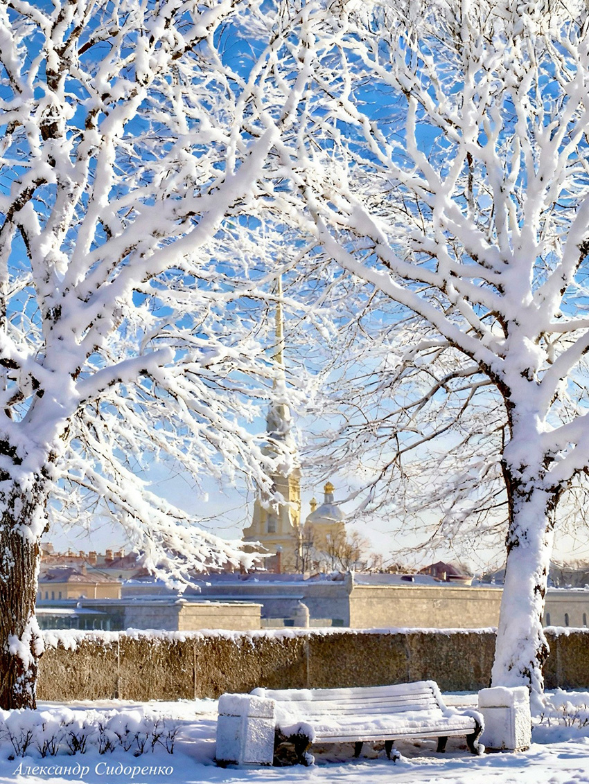 1��������������� ��������