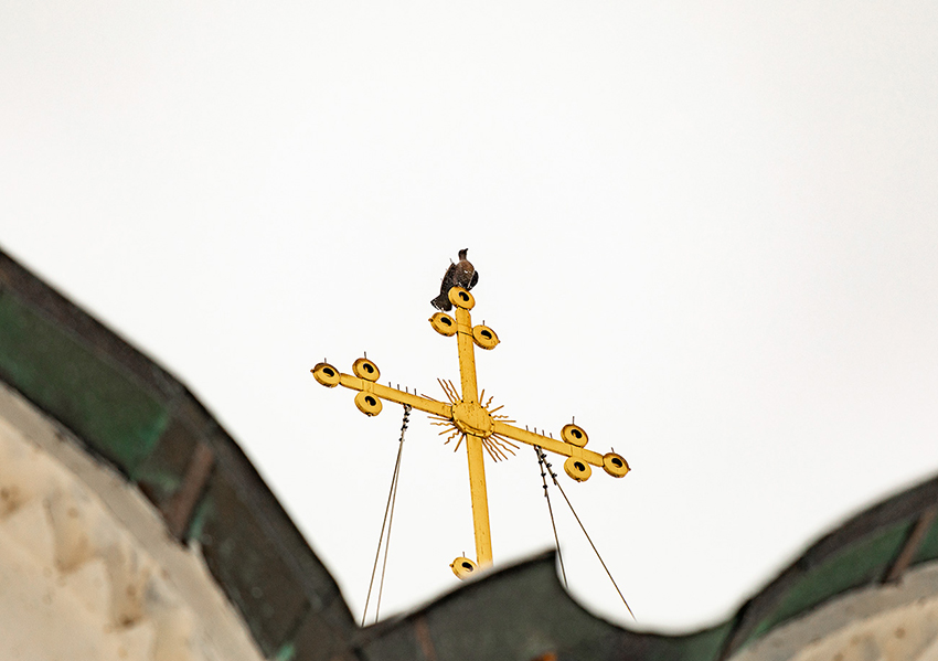 7��������� �����