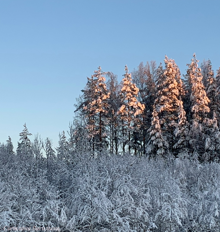 VFL.RU - ��� �����������