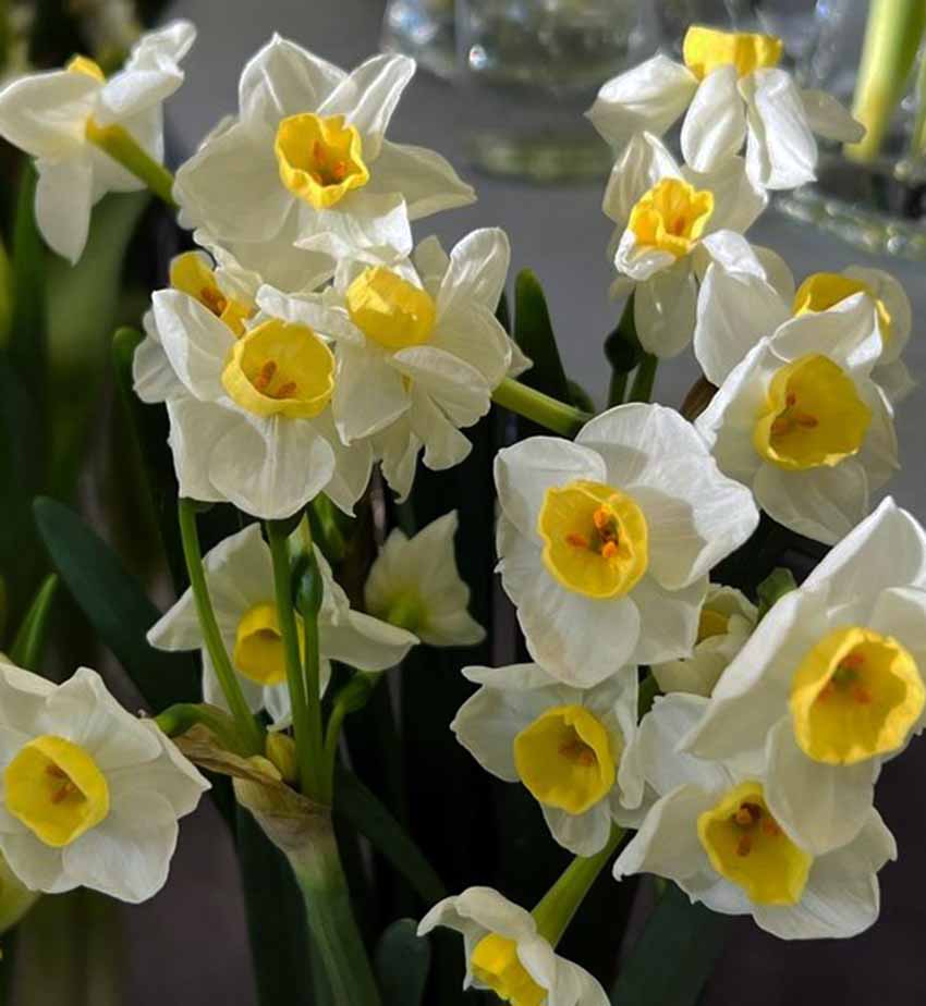 VFL.RU - ��� �����������