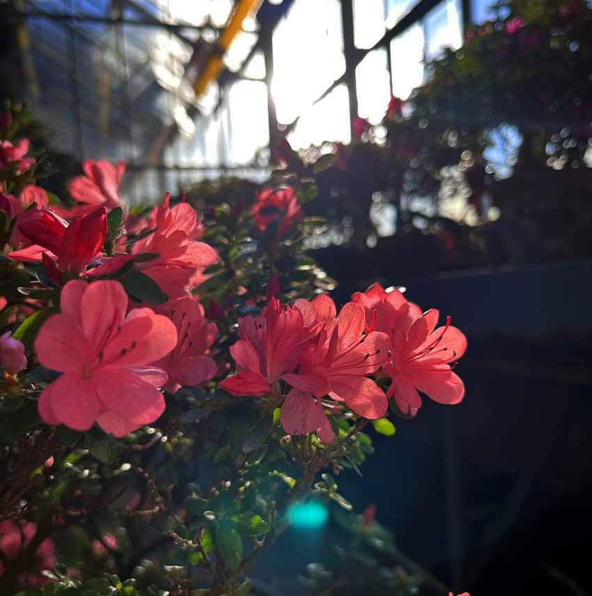 VFL.RU - ��� �����������