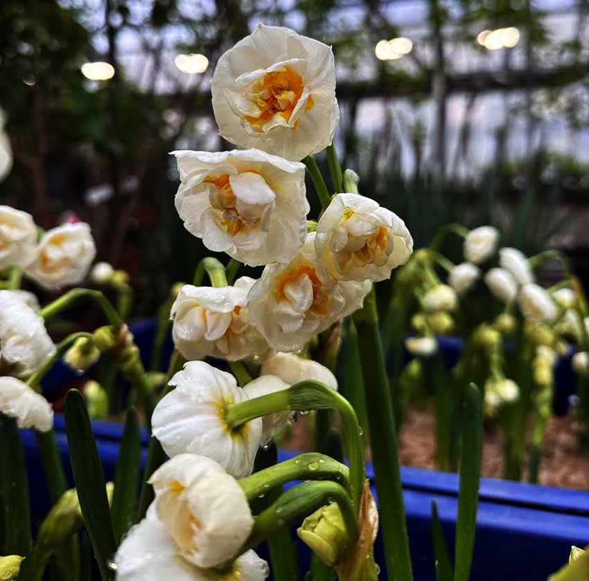 VFL.RU - ��� �����������