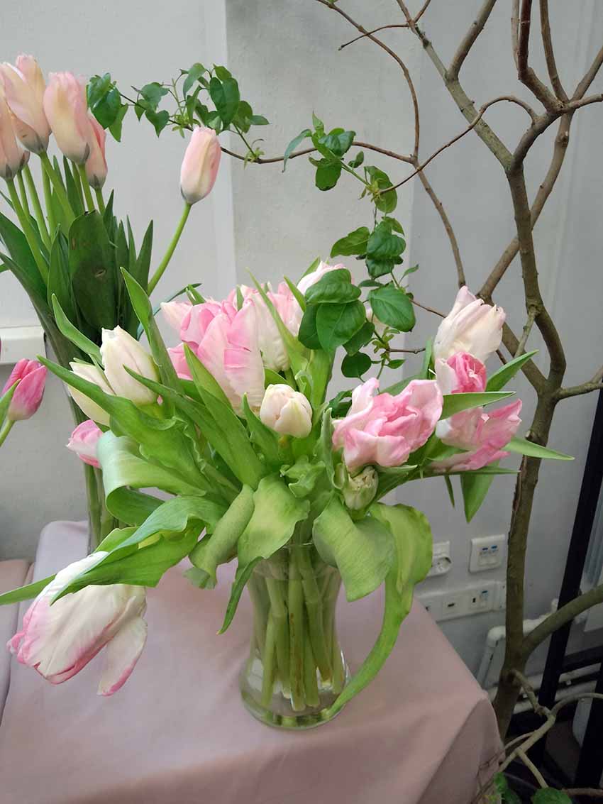 VFL.RU - ��� �����������