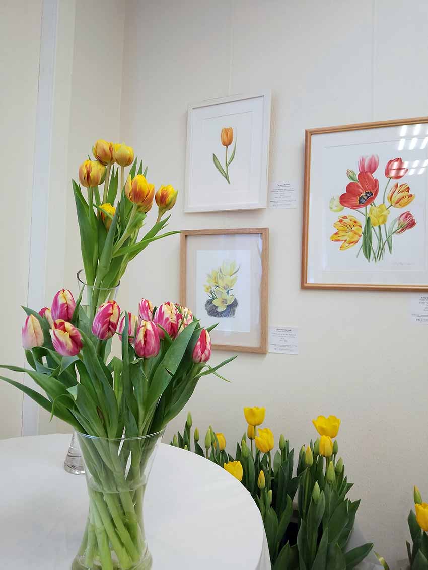 VFL.RU - ��� �����������