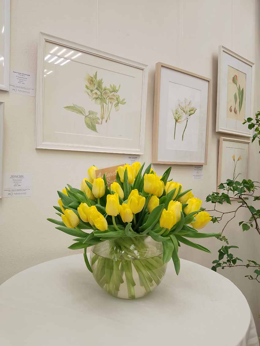 VFL.RU - ��� �����������