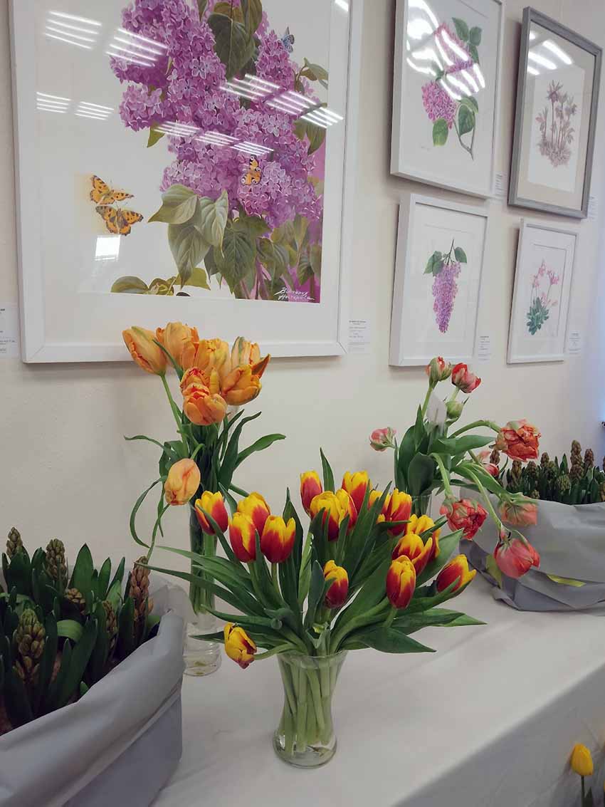 VFL.RU - ��� �����������