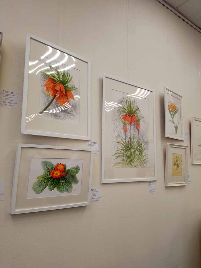 VFL.RU - ��� �����������