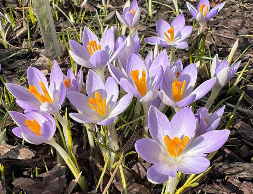 VFL.RU - ��� �����������