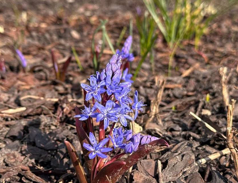 VFL.RU - ��� �����������