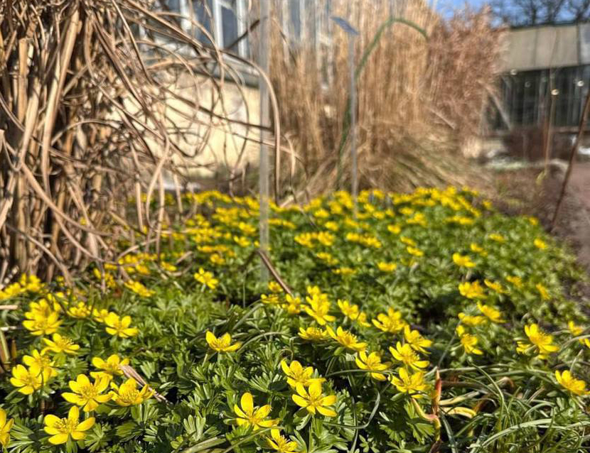 VFL.RU - ��� �����������