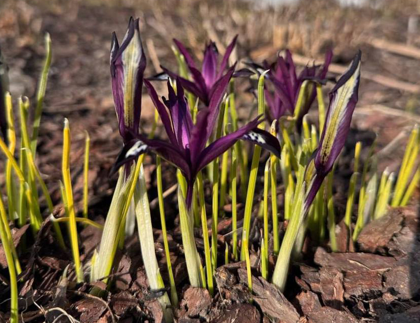 VFL.RU - ��� �����������