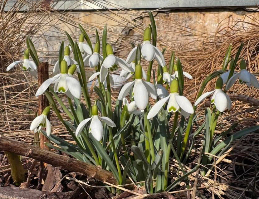 VFL.RU - ��� �����������