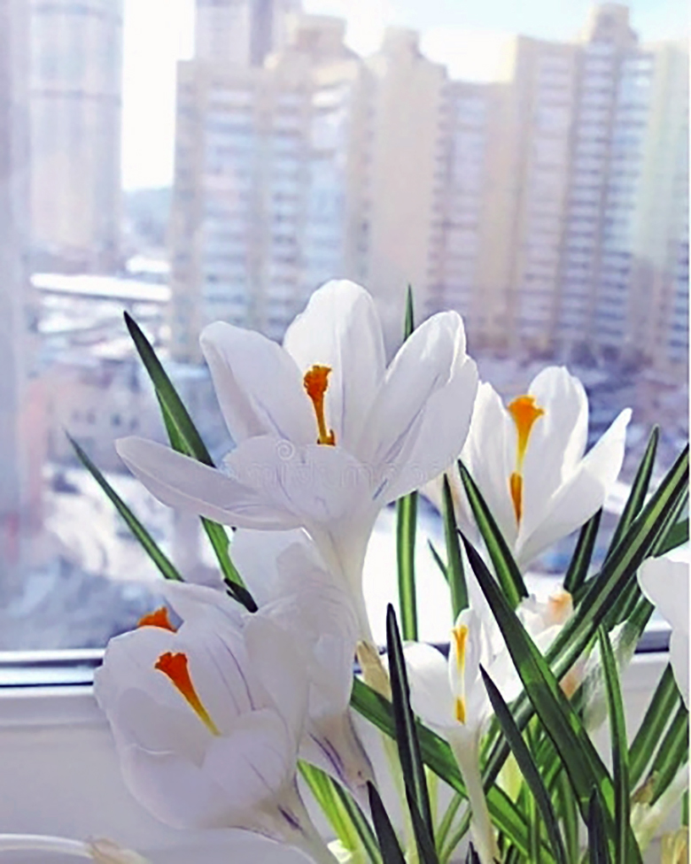 ��� ����� 1